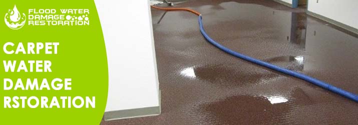 Carpet Water Damage Restoration Marrickville
