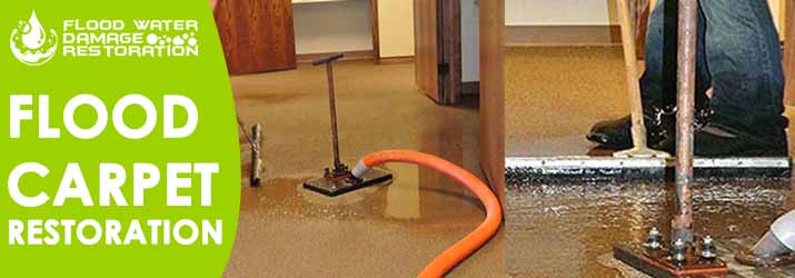 Flood Carpet Restoration Caulfield