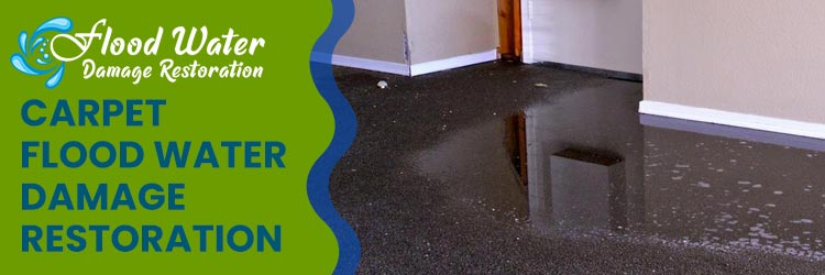 Carpet Flood Water Damage Restoration Services