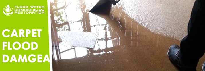 Carpet Flood Damage Urila