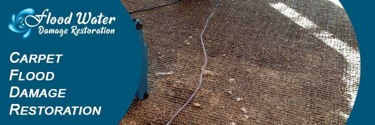 Carpet Flood Damage Restoration