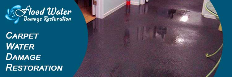 Some General Causes That Can Damage Your Carpets