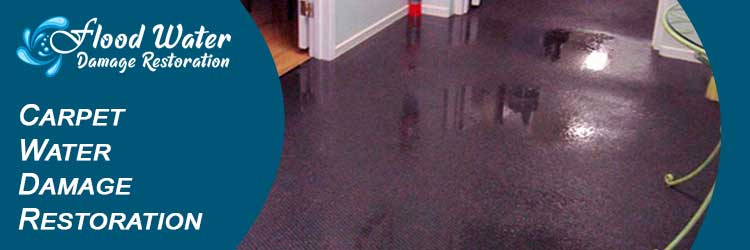 Carpet Water Damage Restoration