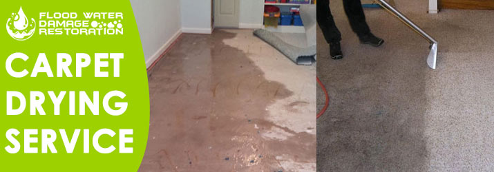 Carpet Water Drying Service Raby