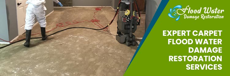  Expert Carpet Flood Water Damage Restoration Services