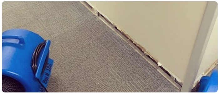 Carpet Drying Adelaide
